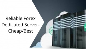Reliable Forex Dedicated Server- Cheap/Best